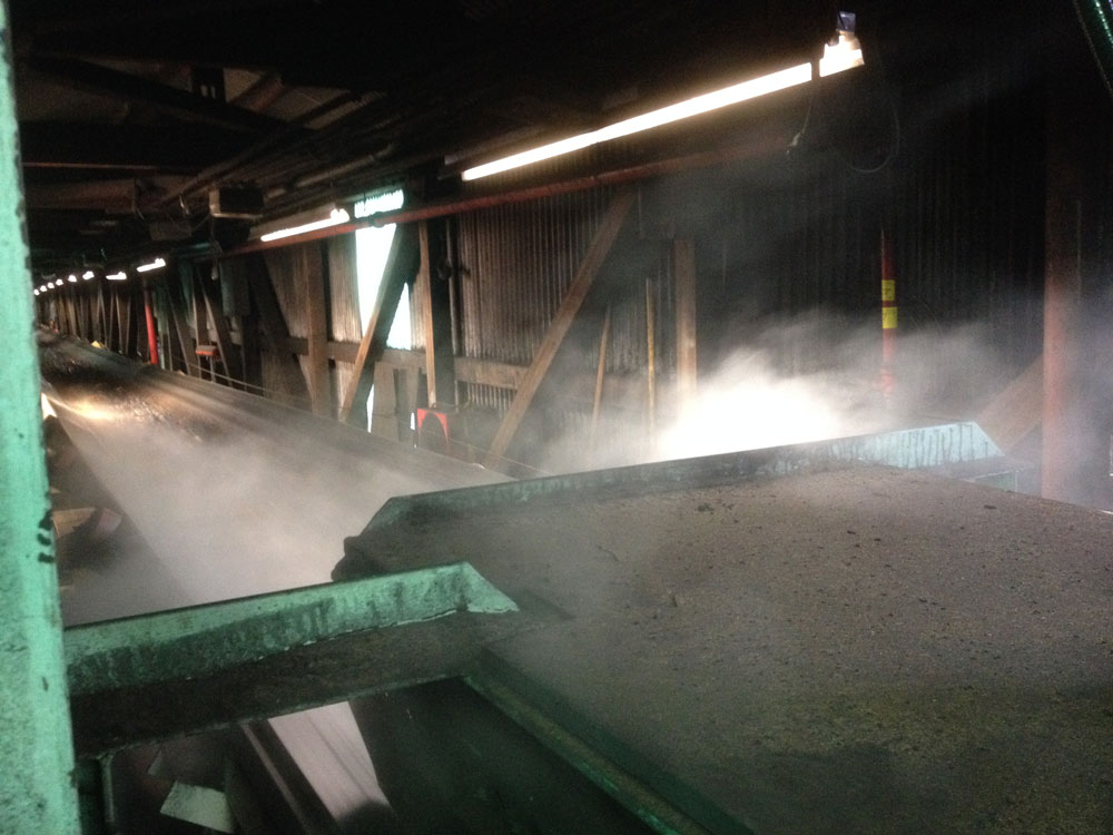Dust suppression on conveyor transfer at pulp and paper operation